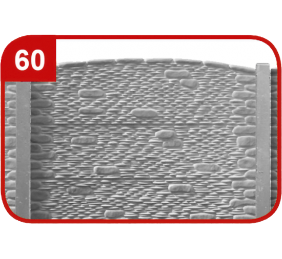 pattern 60