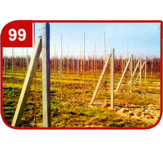 pattern 99 Orchard posts 3.0 m long